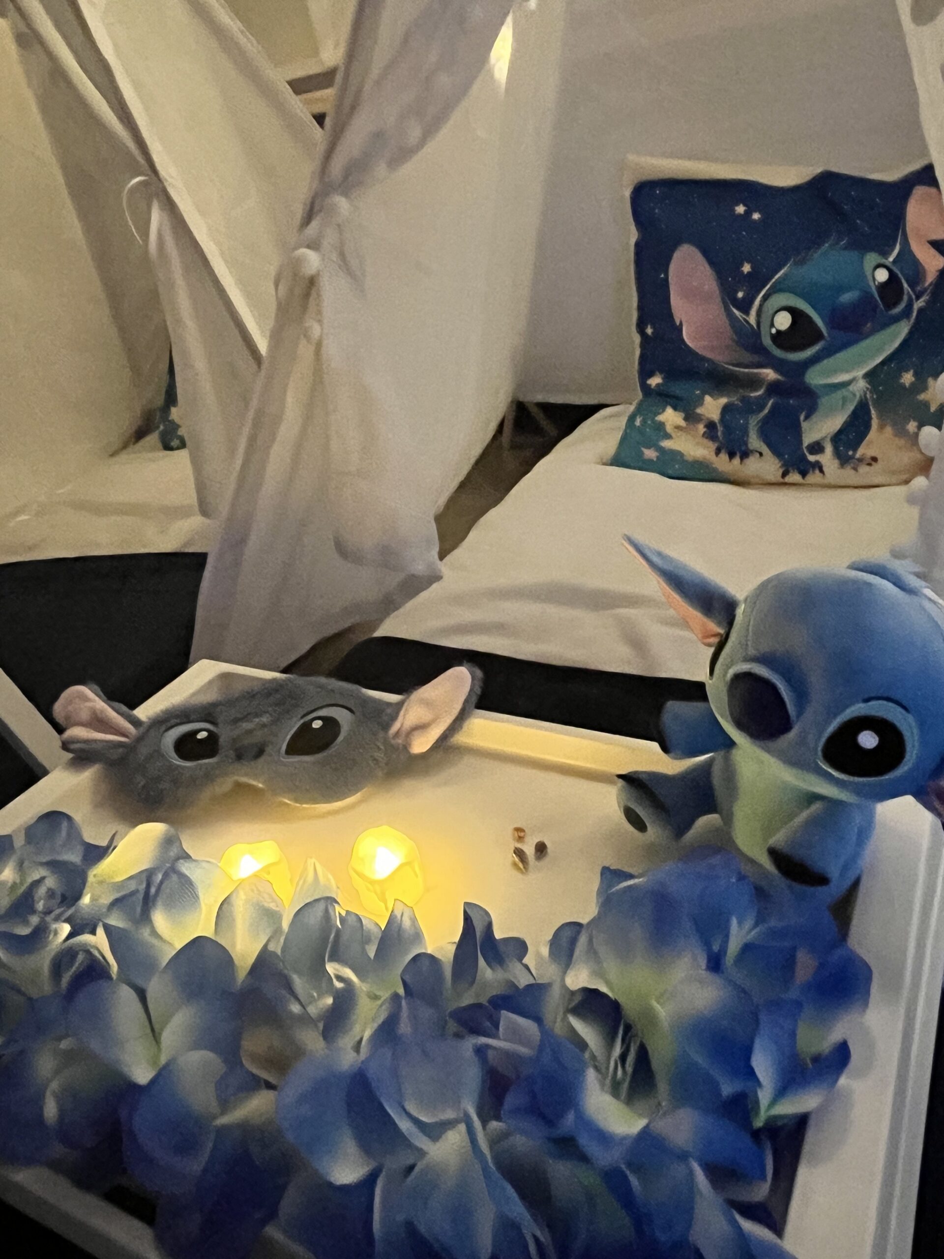 Tipi slaapfeestje tentjes Stitch thema Tipi slaapfeestje tentjes Stitch thema